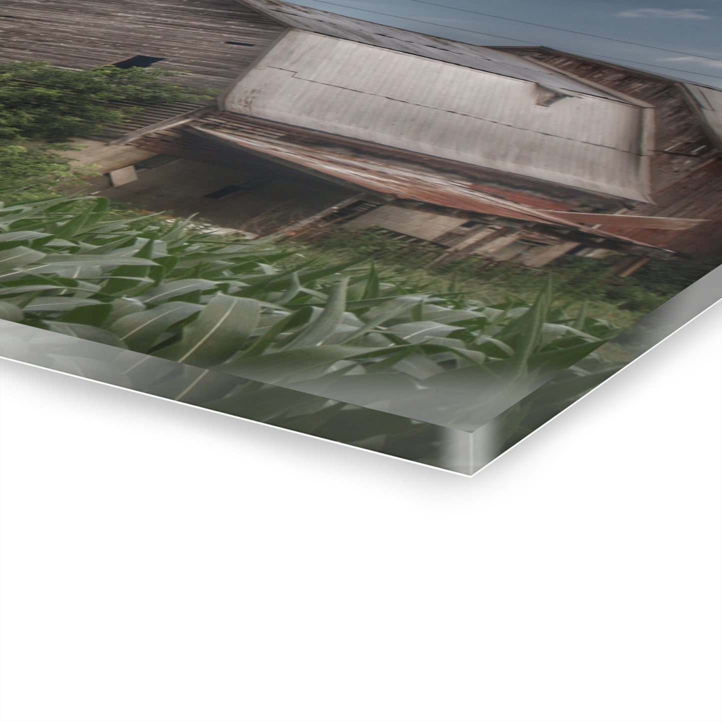 U R There Photography Murphy Lake Road Grey lI Rustic Farmhouse Acrylic Wall Print