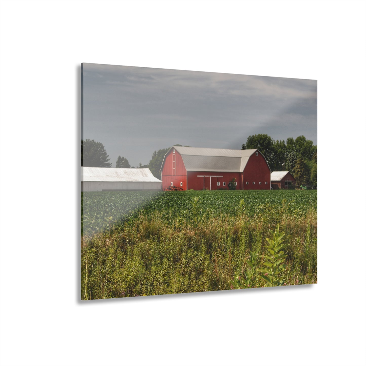 U R There Photography Townline Road Red Rustic Farmhouse Acrylic Wall Print