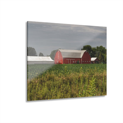 U R There Photography Townline Road Red Rustic Farmhouse Acrylic Wall Print