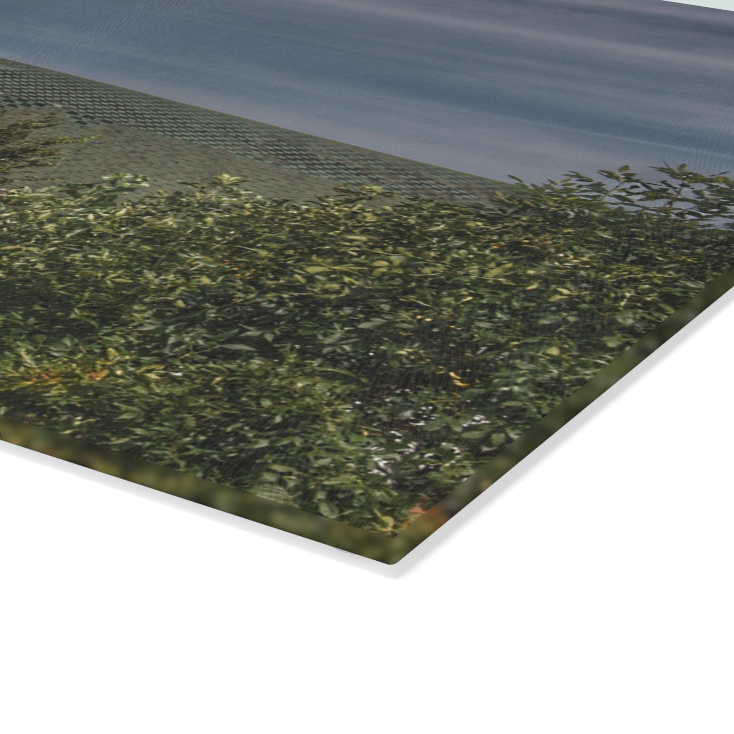 U R There Photography Hill Road Hidden Grey II Rustic Farmhouse Tempered-Glass Cutting Board