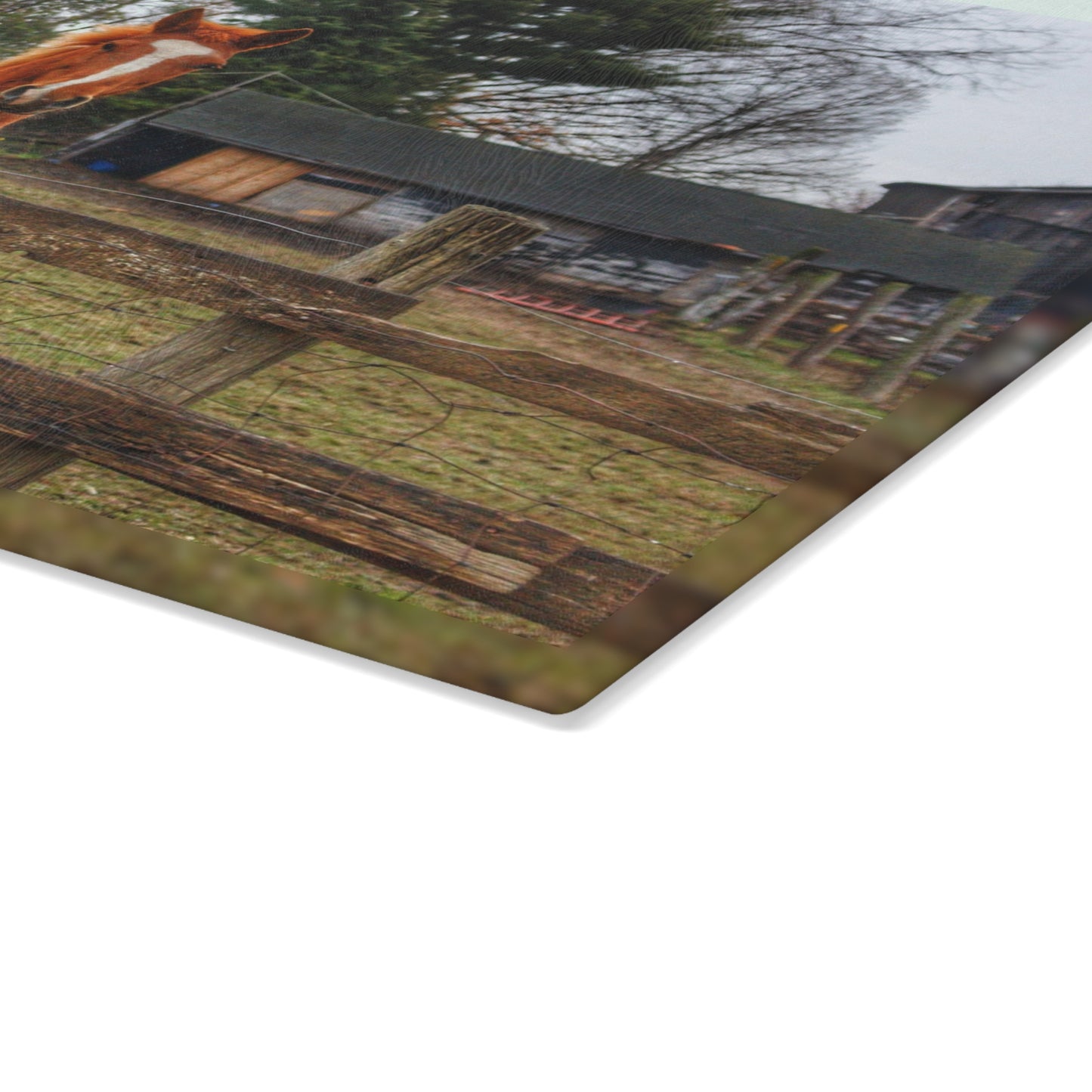 U R There Photography South Summers Road Old Grey and Caramel I Rustic Farmhouse Tempered-Glass Cutting Board