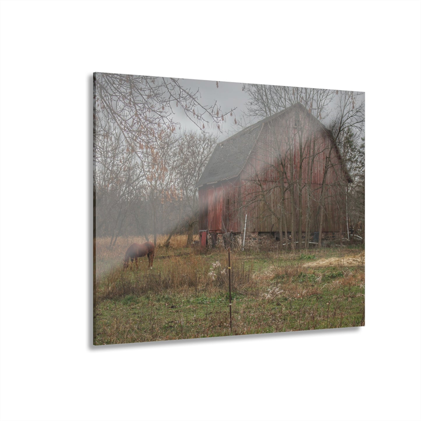U R There Photography Blair Road Barn and Horse Rustic Farmhouse Acrylic Wall Print