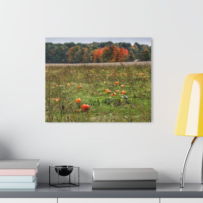 U R There Photography Once Upon a Time in a Pumpkin Patch Rustic Farmhouse Acrylic Wall Print