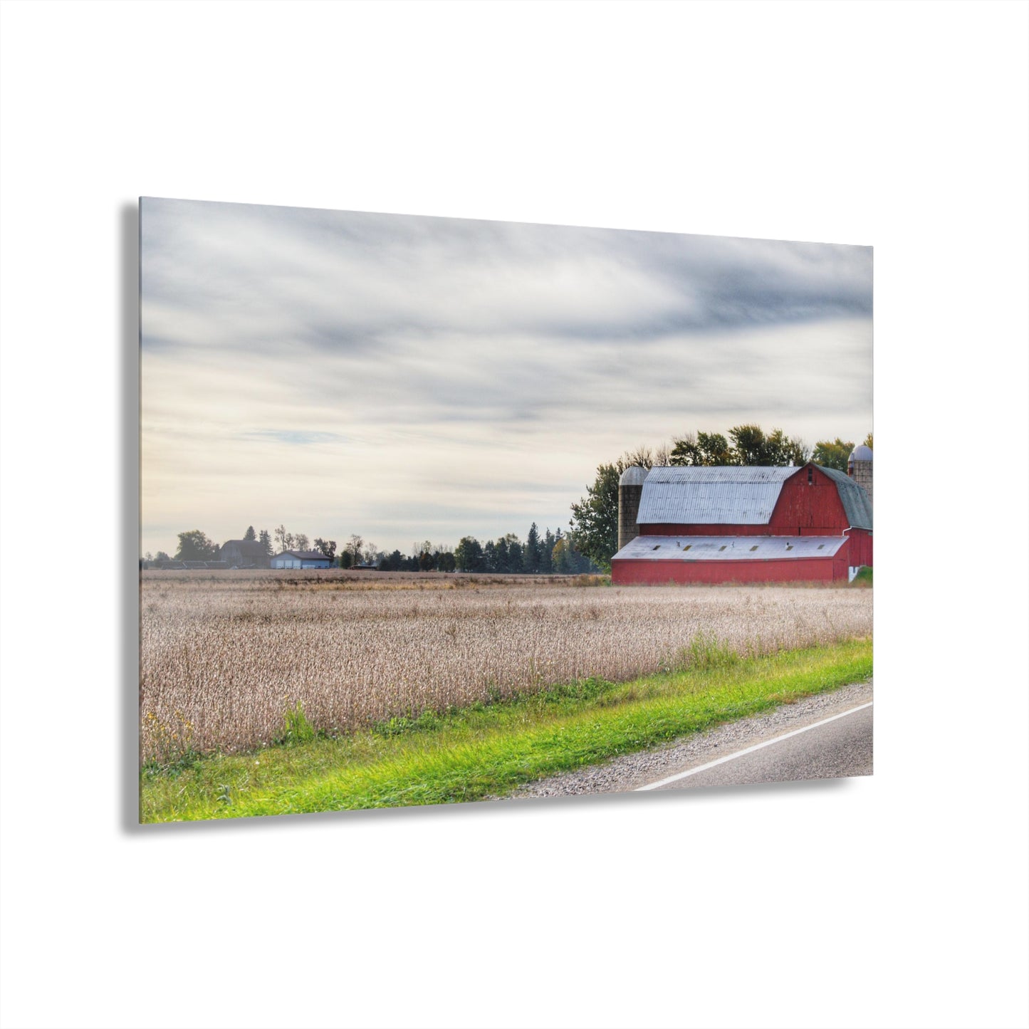 U R There Photography Brown City Red II Rustic Farmhouse Acrylic Wall Print