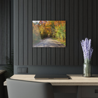 U R There Photography Harson Road in Fall II Rustic Farmhouse Acrylic Wall Print