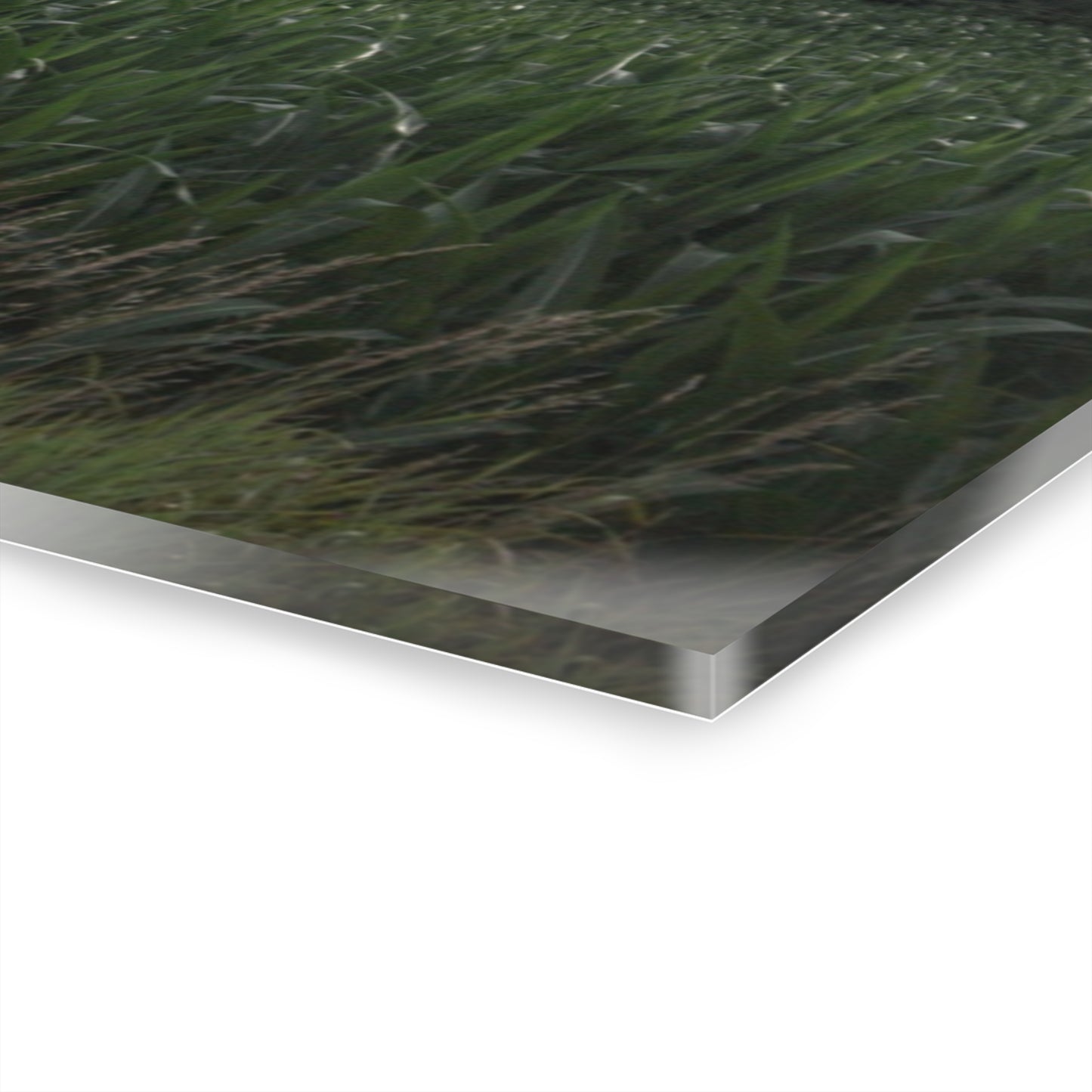 U R There Photography Genesee Road White Rustic Farmhouse Acrylic Wall Print