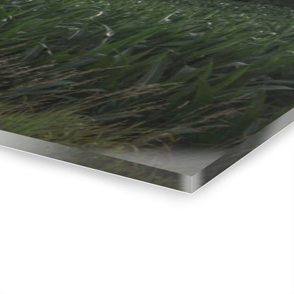 U R There Photography Genesee Road White Rustic Farmhouse Acrylic Wall Print