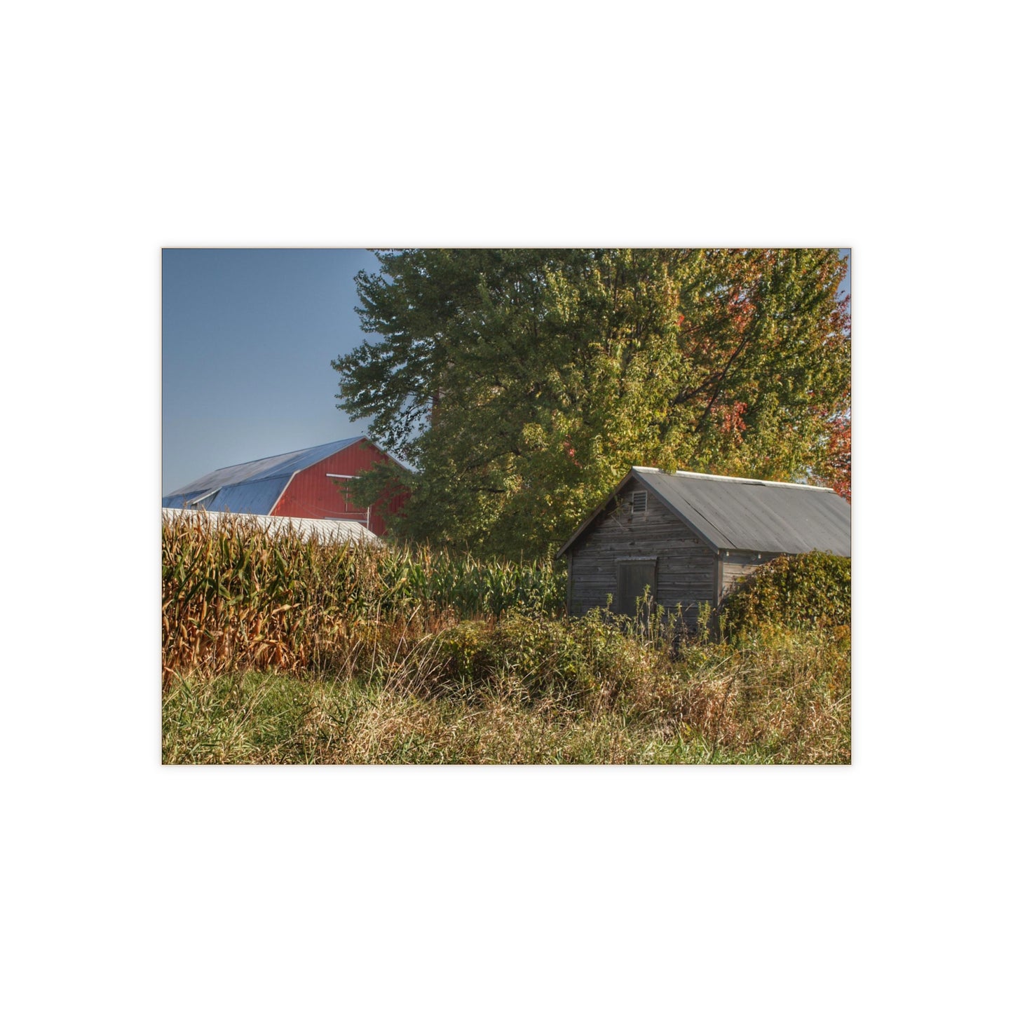 U R There Photography Barnes Road Hidden Red and Little Grey Rustic Farmhouse Decorative Ceramic Tile
