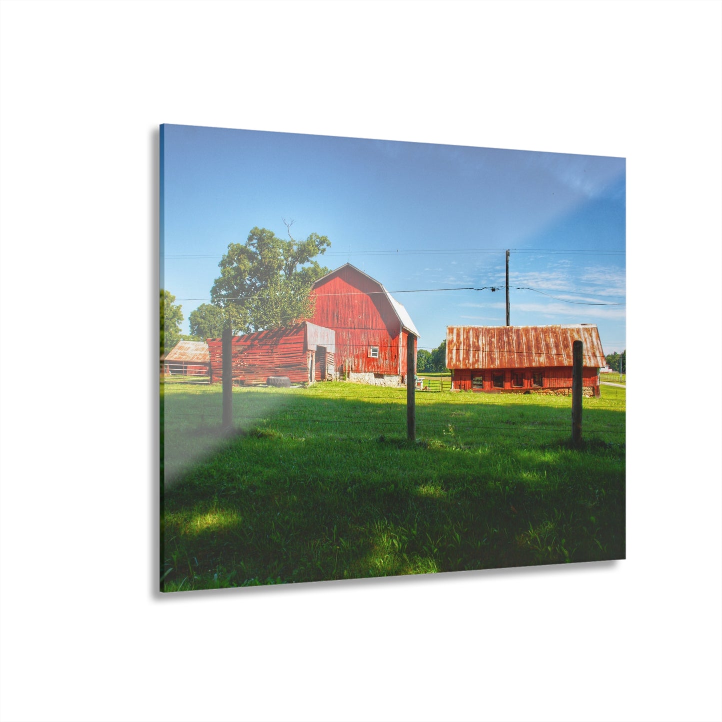U R There Photography Frances Road Reds II Rustic Farmhouse Acrylic Wall Print