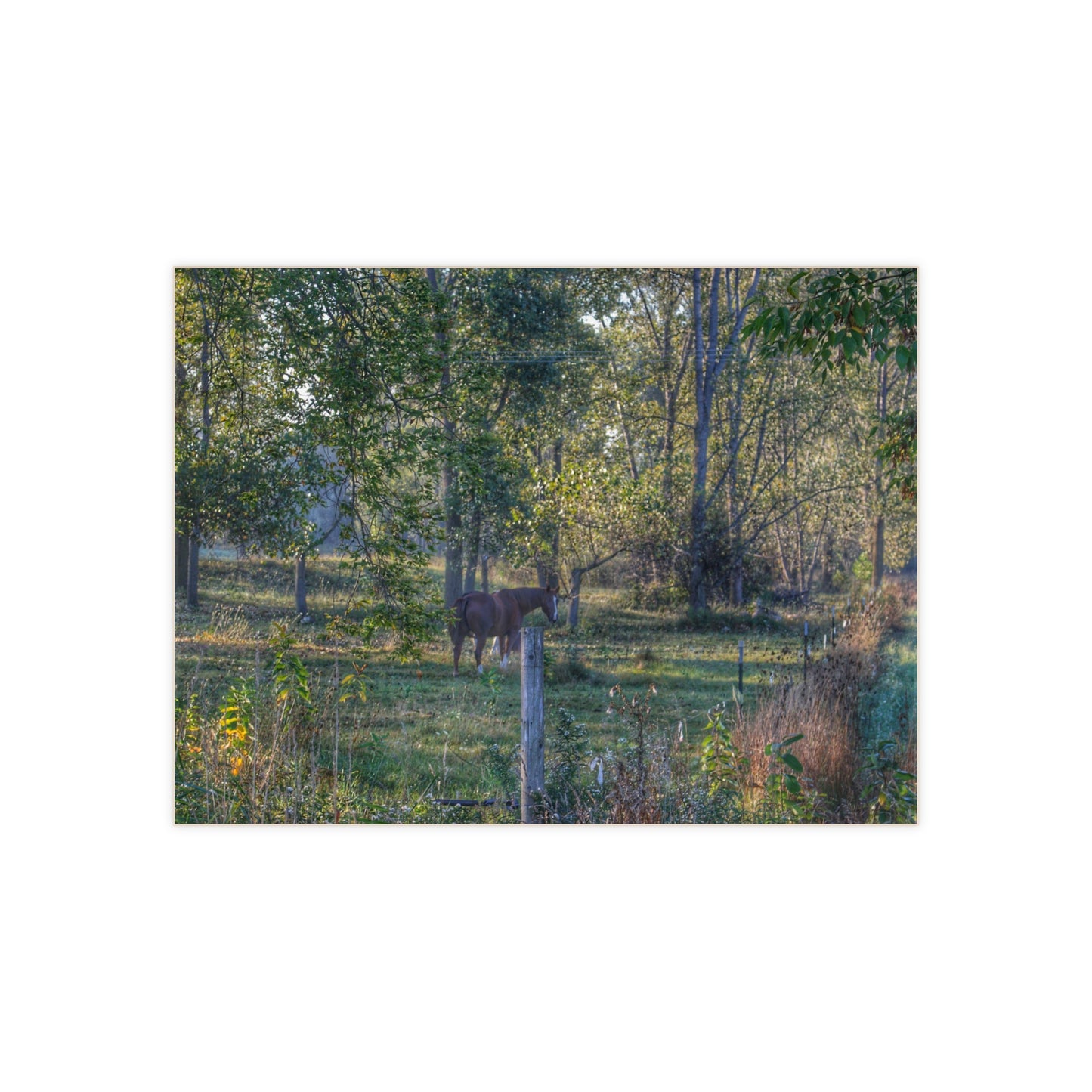 U R There Photography Chestnut Horse Among the Trees Rustic Farmhouse Decorative Ceramic Tile