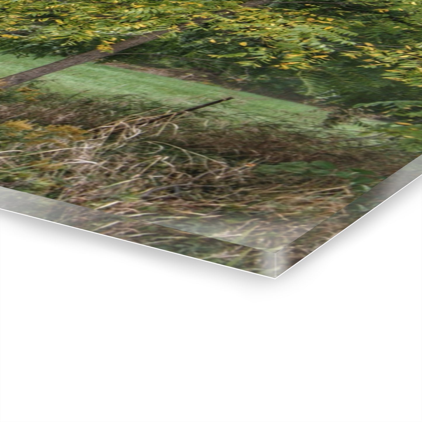 U R There Photography Hayes Road Hidden I Rustic Farmhouse Acrylic Wall Print