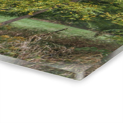 U R There Photography Hayes Road Hidden I Rustic Farmhouse Acrylic Wall Print