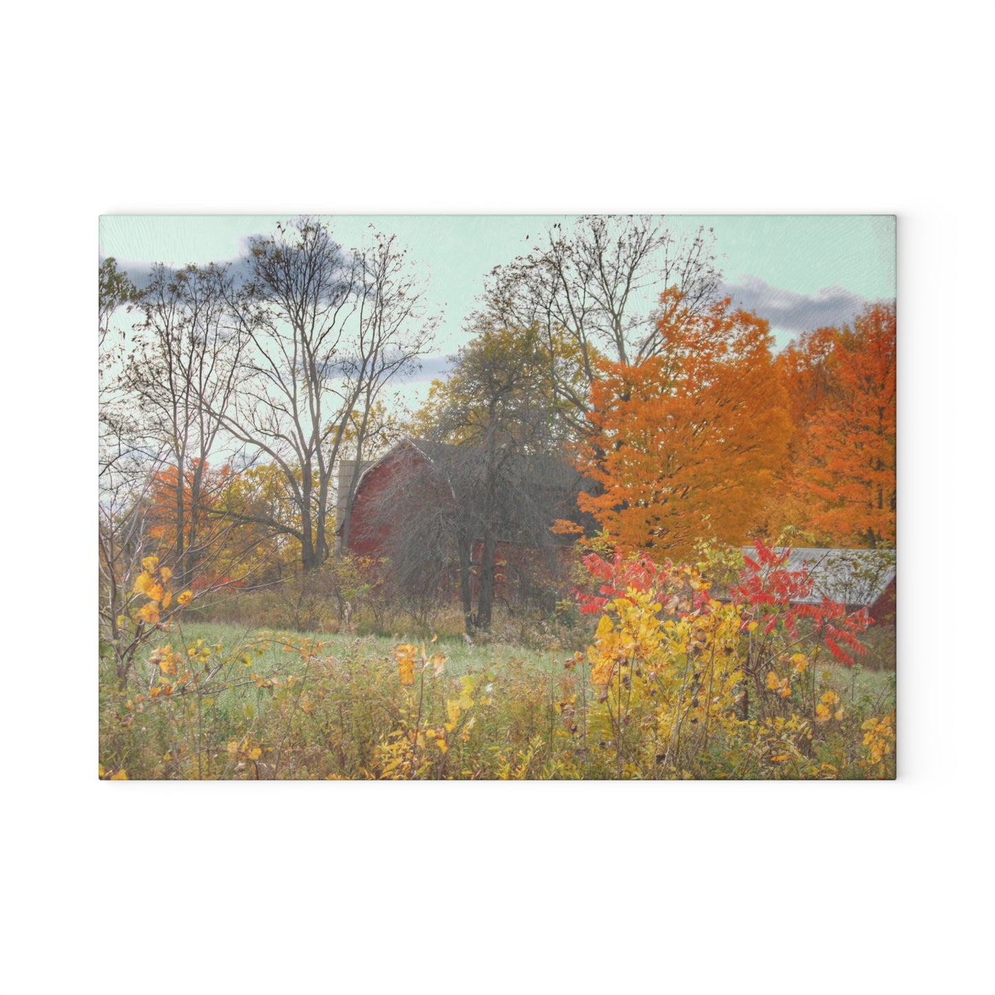 U R There Photography Bowers Hidden Red Rustic Farmhouse Tempered-Glass Cutting Board