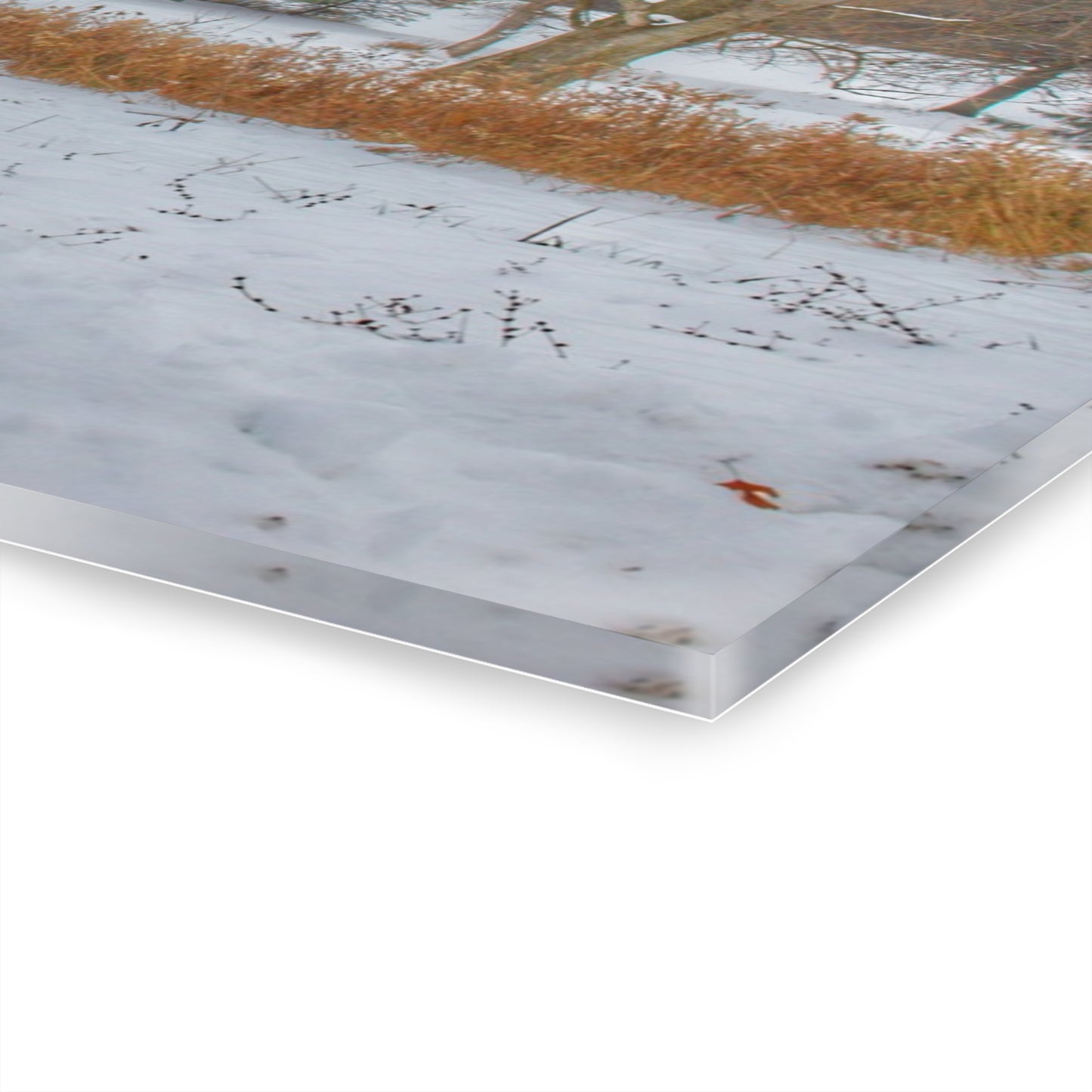 U R There Photography Hosner Road Grey in Late Fall Rustic Farmhouse Acrylic Wall Print