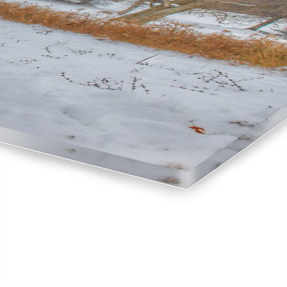 U R There Photography Hosner Road Grey in Late Fall Rustic Farmhouse Acrylic Wall Print