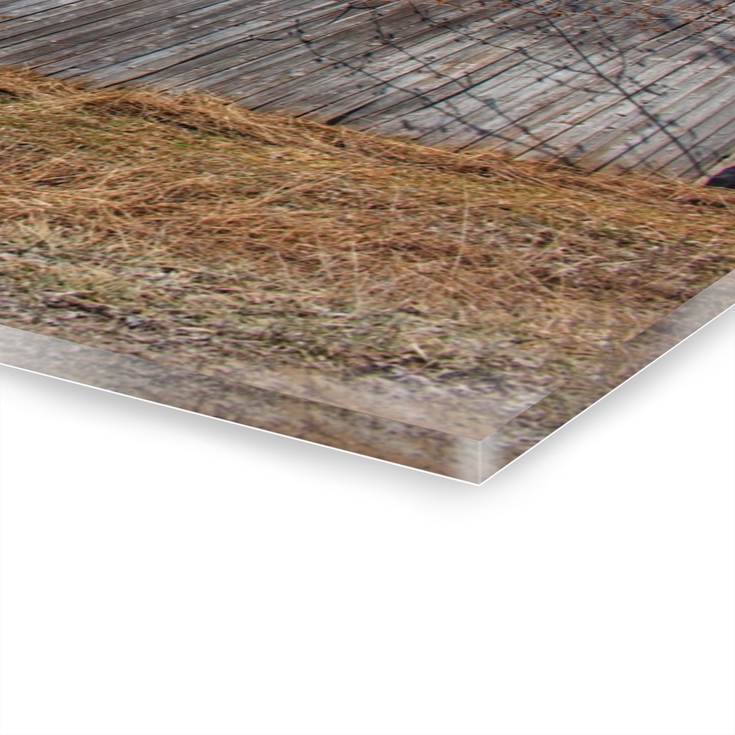 U R There Photography Romeo Plank Road Forgotten Greys Rustic Farmhouse Acrylic Wall Print
