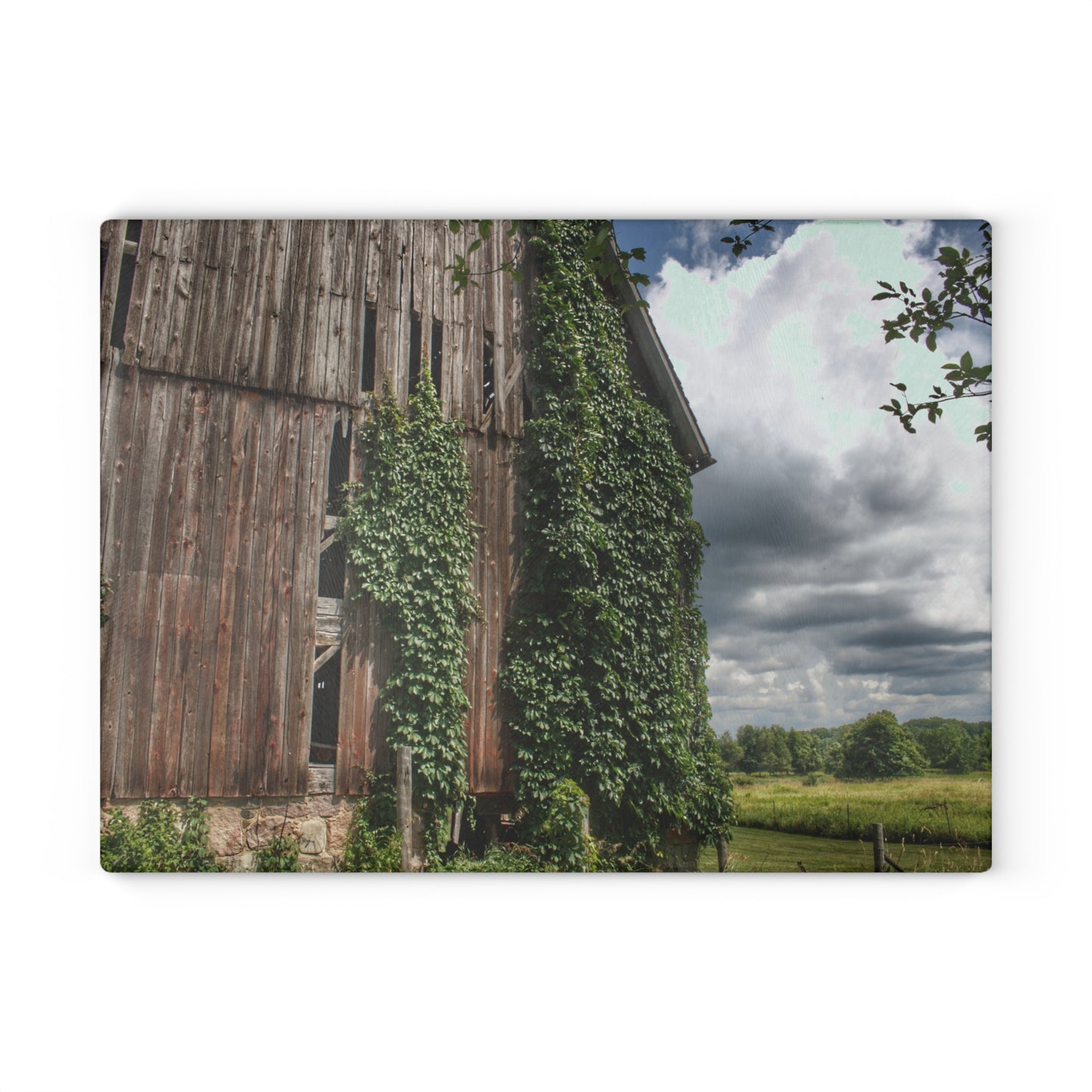 U R There Photography North Branch Ivy Grey II Rustic Farmhouse Tempered-Glass Cutting Board