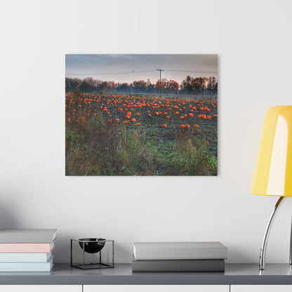 U R There Photography Five Lakes Pumpkins Rustic Farmhouse Acrylic Wall Print