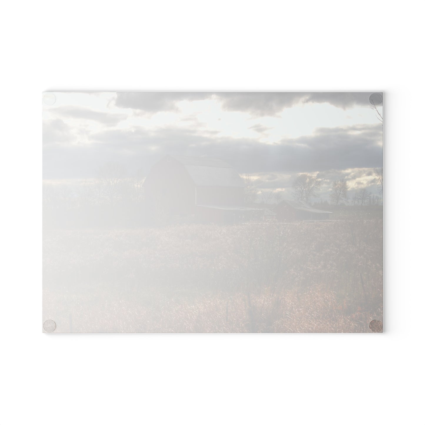 U R There Photography Booth Road Cow Barn II Rustic Farmhouse Tempered-Glass Cutting Board