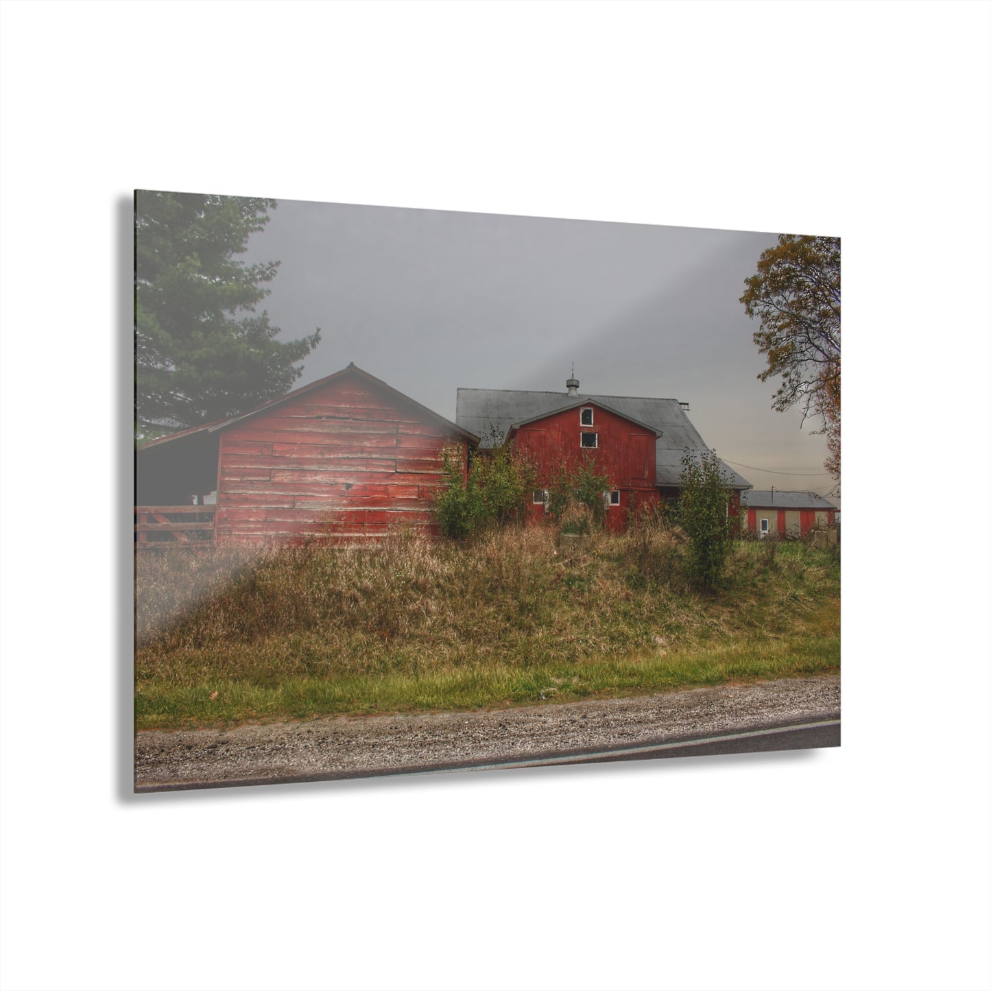 U R There Photography Goodrich Baldwin Road Reds I Rustic Farmhouse Acrylic Wall Print