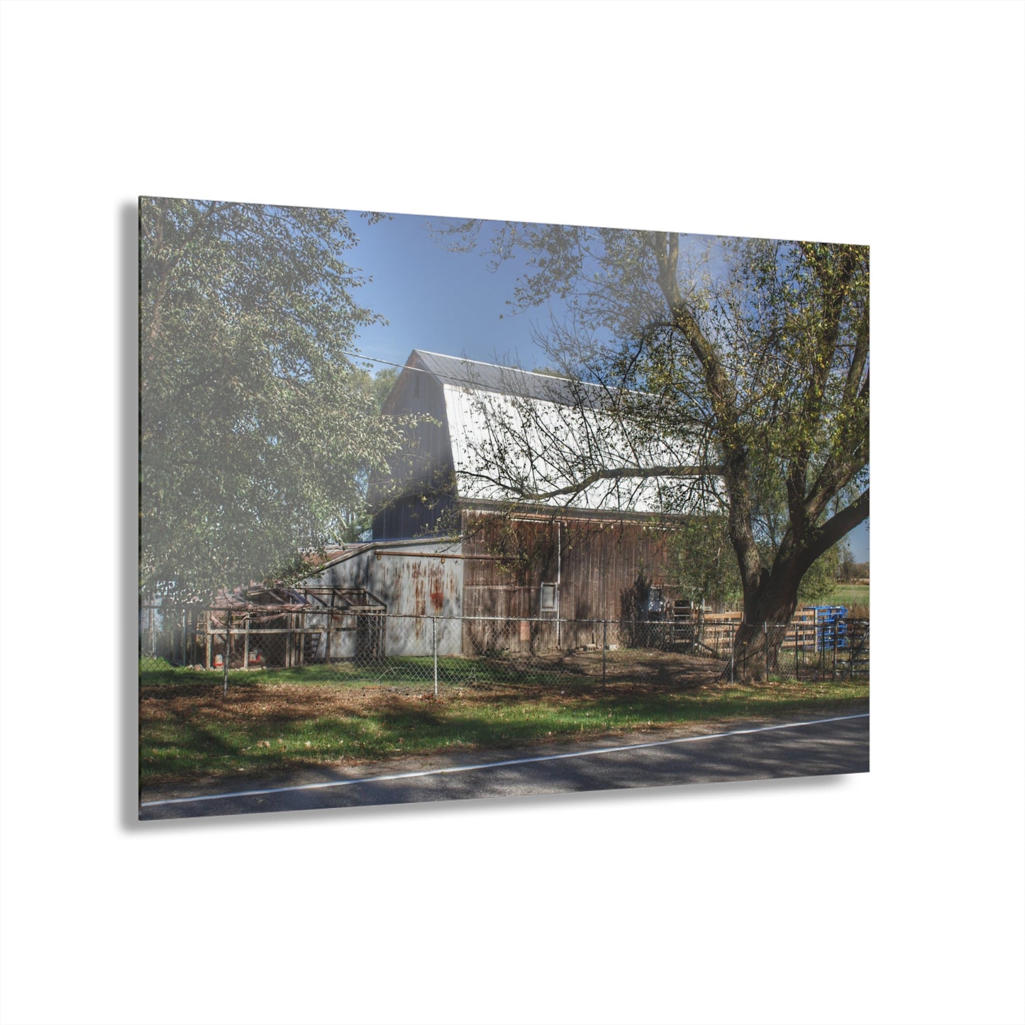 U R There Photography Birch Run Road Grey Rustic Farmhouse Acrylic Wall Print