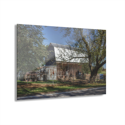 U R There Photography Birch Run Road Grey Rustic Farmhouse Acrylic Wall Print