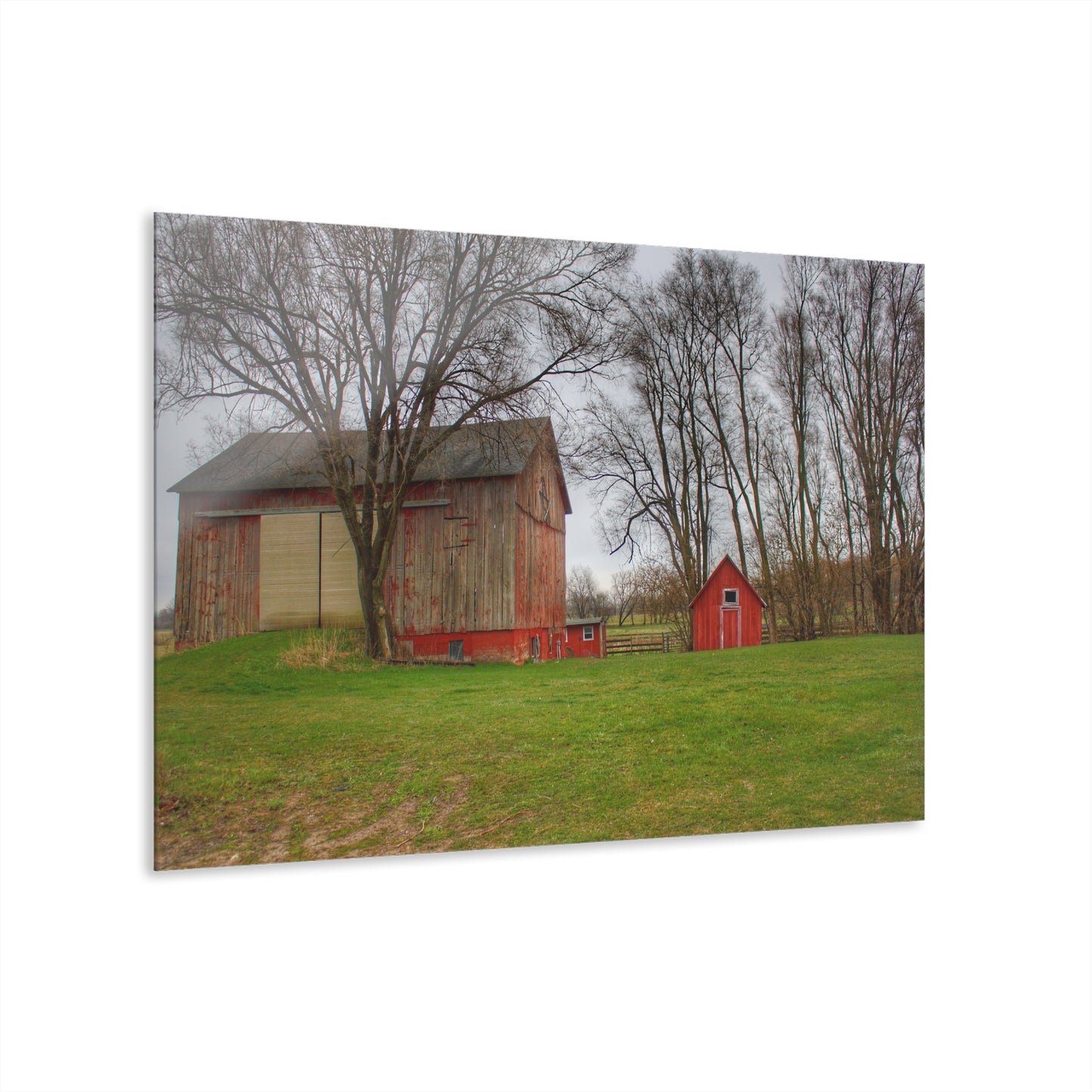 U R There Photography Lake George Red II Rustic Farmhouse Acrylic Wall Print