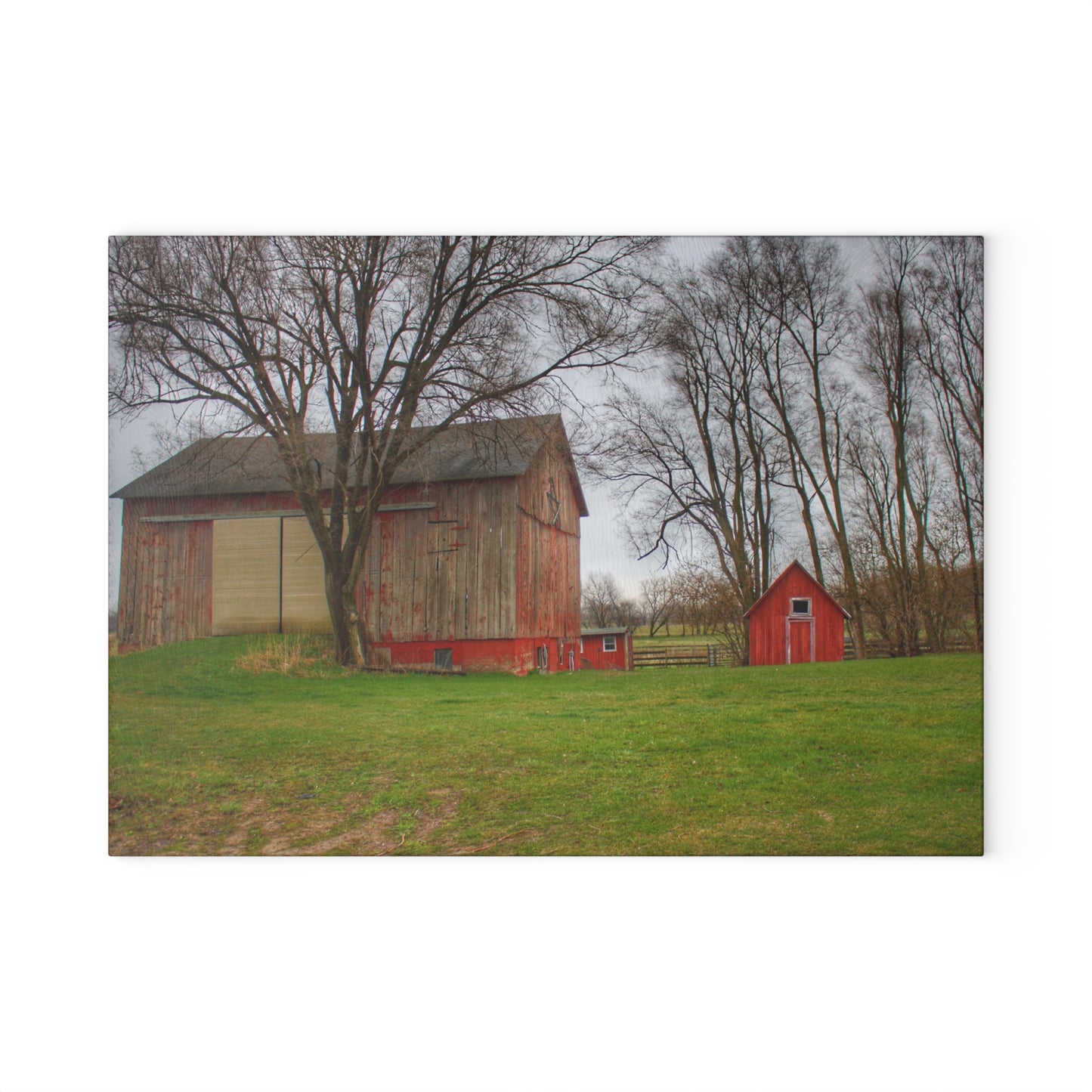 U R There Photography Lake George Red II Rustic Farmhouse Tempered-Glass Cutting Board