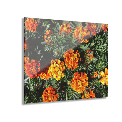 U R There Photography Marigolds Rustic Farmhouse Acrylic Wall Print