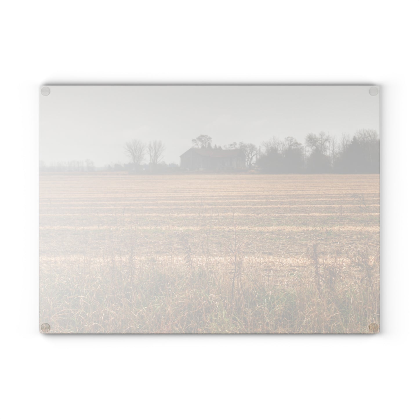 U R There Photography Freiberger Road Grey Across the Field Rustic Farmhouse Tempered-Glass Cutting Board