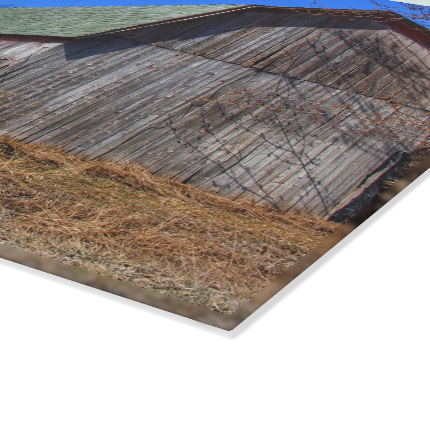 U R There Photography Romeo Plank Road Forgotten Greys Rustic Farmhouse Tempered-Glass Cutting Board 8"x 11"