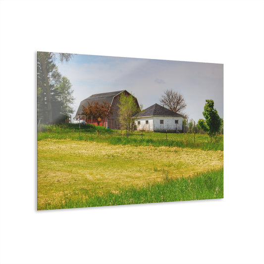 U R There Photography Colwood Hidden Red and Little White Rustic Farmhouse Acrylic Wall Print