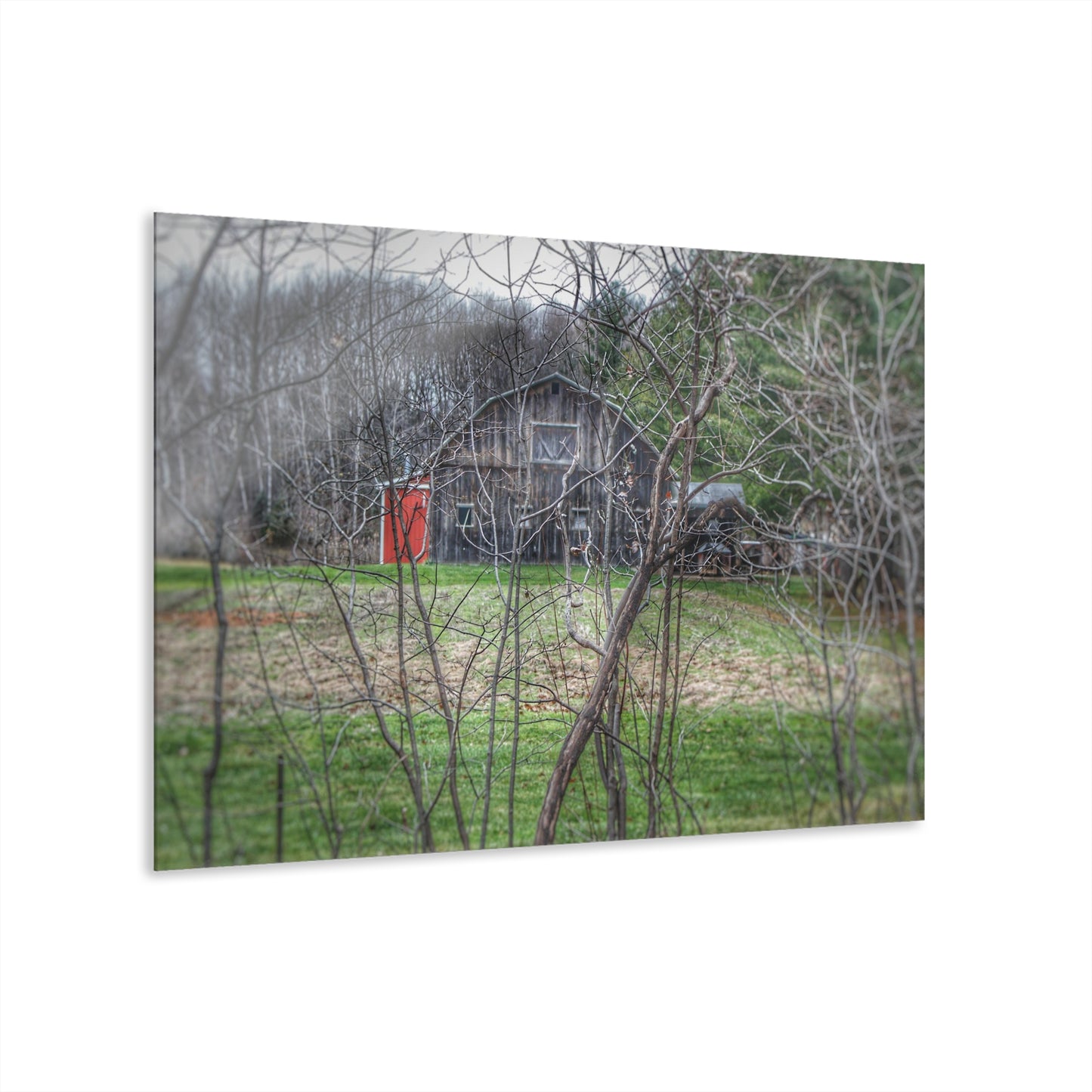 U R There Photography Hidden Capac Grey Rustic Farmhouse Acrylic Wall Print