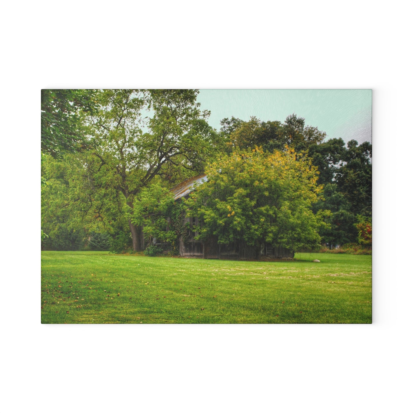 U R There Photography Hidden Past I Rustic Farmhouse Tempered-Glass Cutting Board