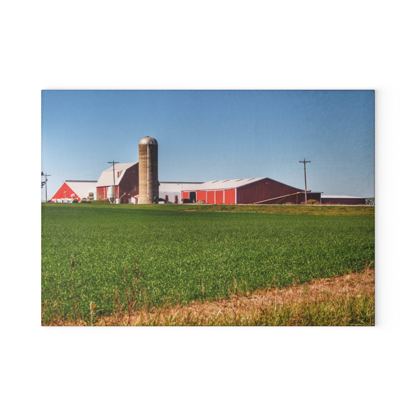 U R There Photography Pattison Road Farm Across the Field II Rustic Farmhouse Tempered-Glass Cutting Board