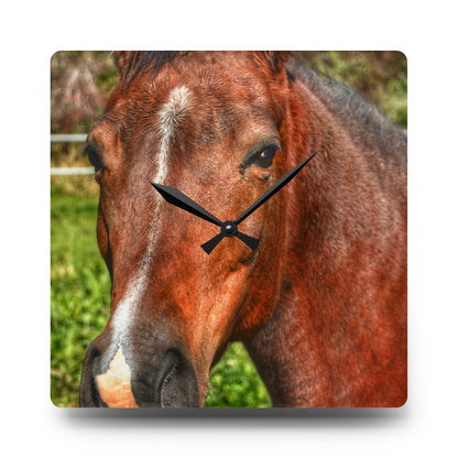 U R There Photography Irish Road Brownie Rustic Farmhouse Acrylic Analog Wall Clock