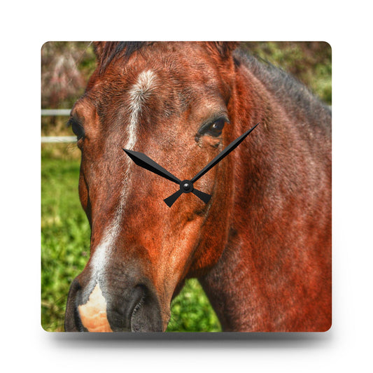 U R There Photography Irish Road Brownie Rustic Farmhouse Acrylic Analog Wall Clock