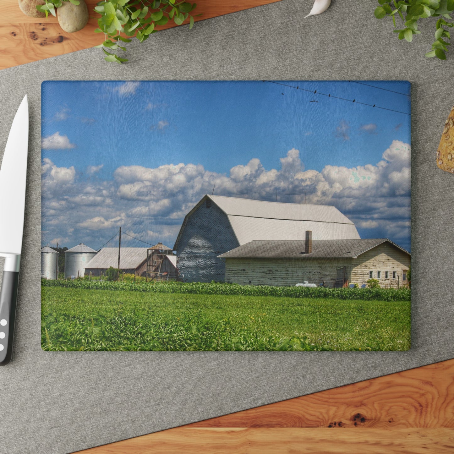 U R There Photography Lake Road Whites Rustic Farmhouse Tempered-Glass Cutting Board