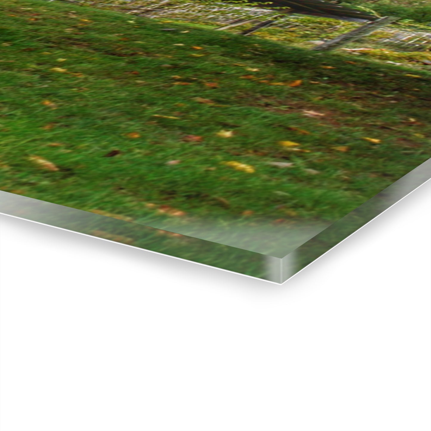 U R There Photography Frances Road Old Red I Rustic Farmhouse Acrylic Wall Print