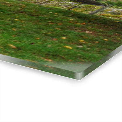 U R There Photography Frances Road Old Red I Rustic Farmhouse Acrylic Wall Print