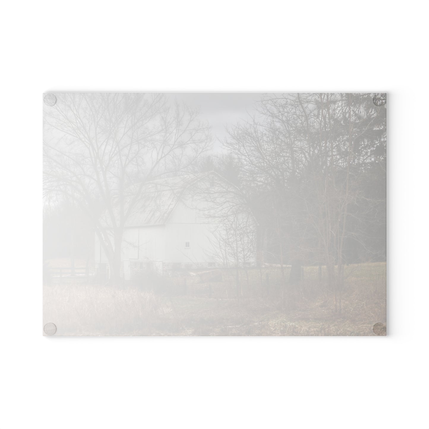 U R There Photography Oakwood Road White II Rustic Farmhouse Tempered-Glass Cutting Board