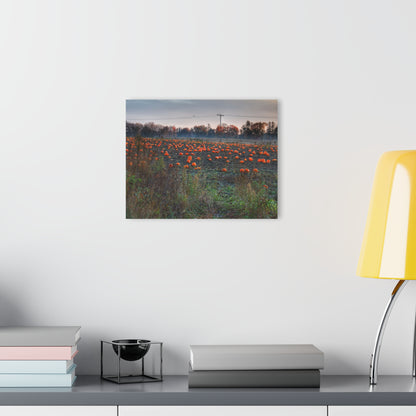 U R There Photography Five Lakes Pumpkins Rustic Farmhouse Acrylic Wall Print