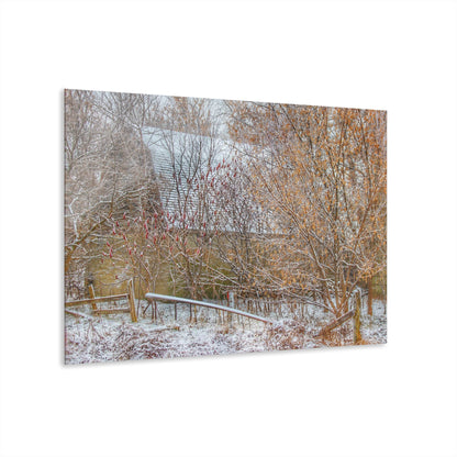 U R There Photography Dryden Road Hidden Winter Grey Rustic Farmhouse Acrylic Wall Print