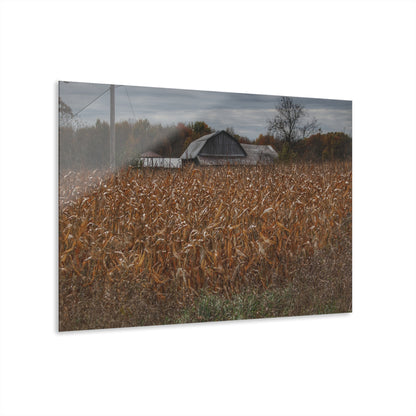 U R There Photography North State Road Grey Rustic Farmhouse Acrylic Wall Print
