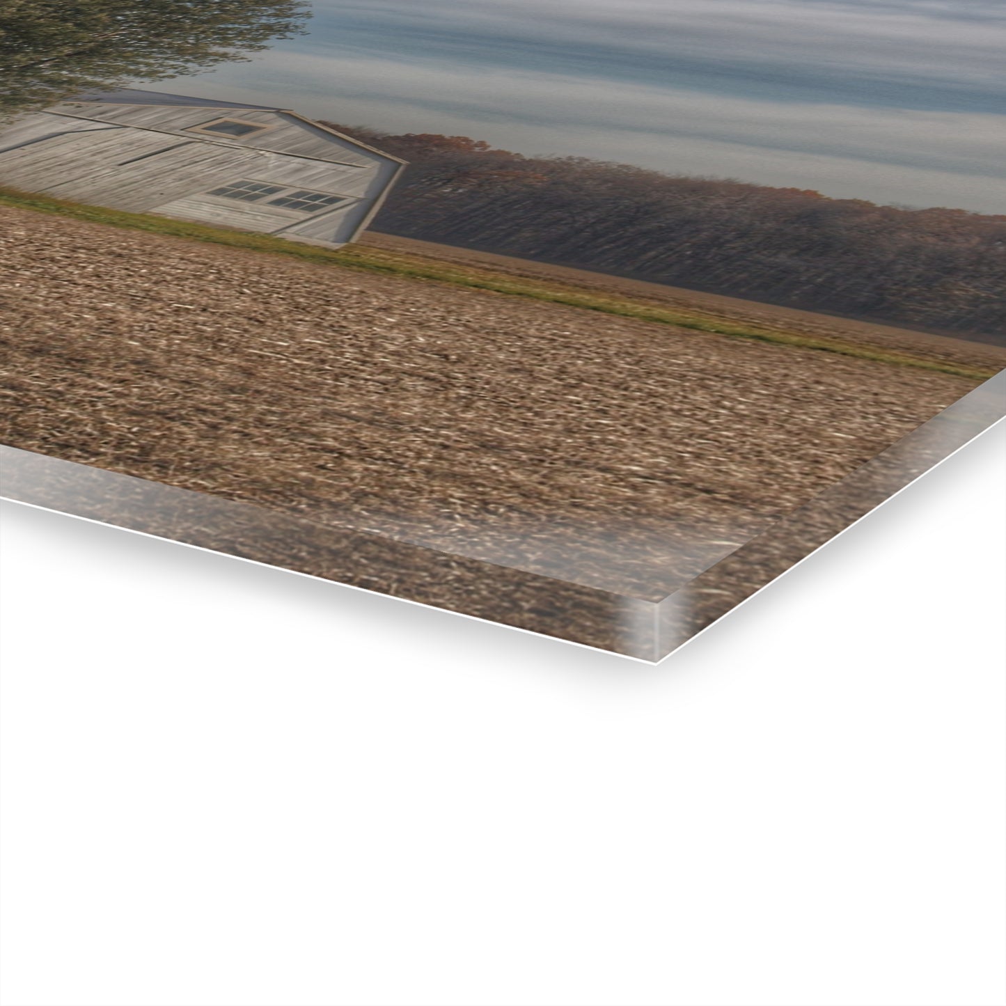 U R There Photography Grey Quonset Among the Pines Rustic Farmhouse Acrylic Wall Print