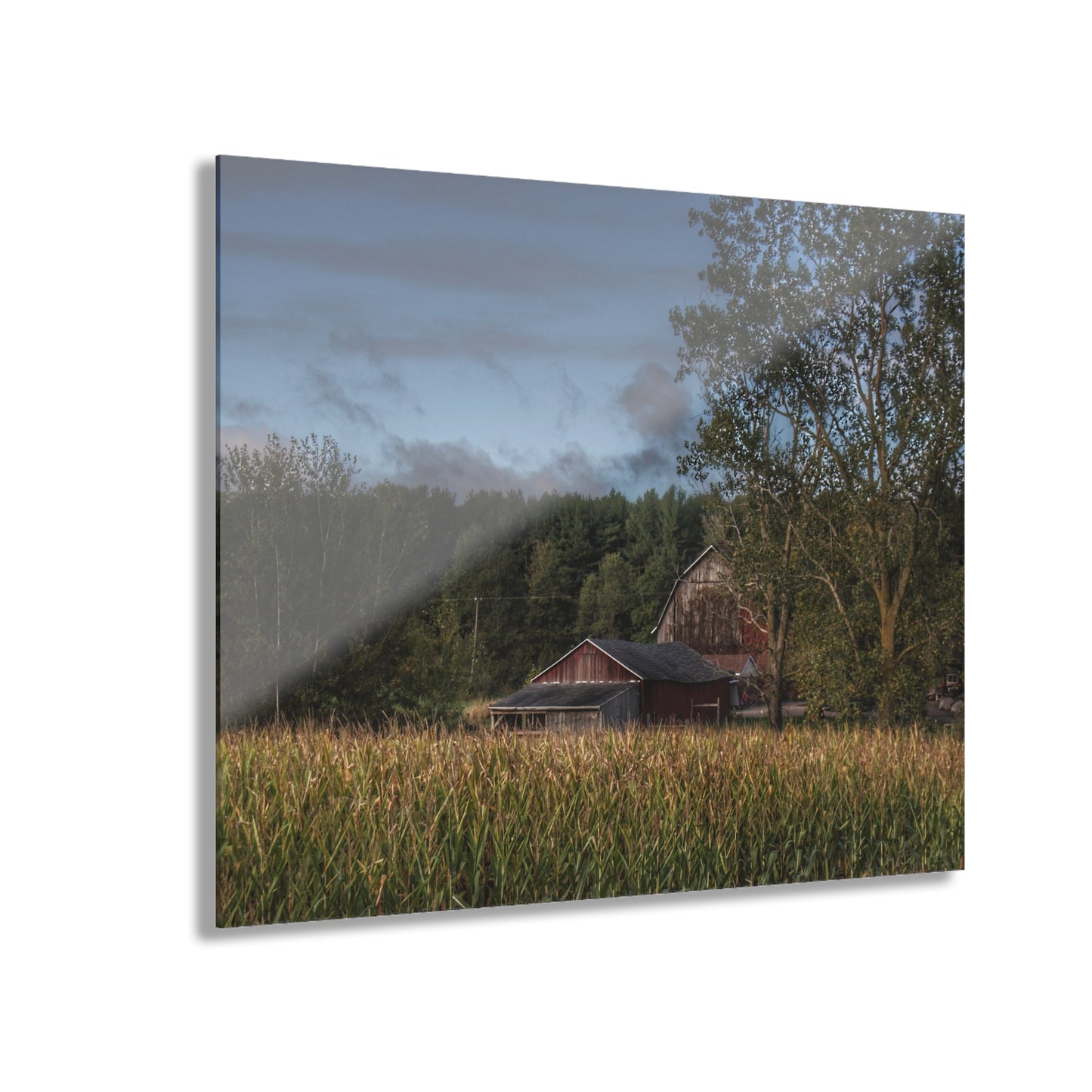 U R There Photography West Oregon Road Hidden Red II Rustic Farmhouse Acrylic Wall Print
