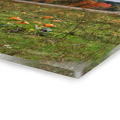 U R There Photography Once Upon a Time in a Pumpkin Patch Rustic Farmhouse Acrylic Wall Print