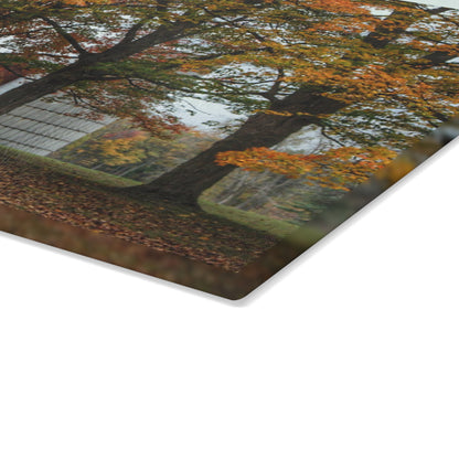 U R There Photography Brown Road Red in the Fall Rustic Farmhouse Tempered-Glass Cutting Board