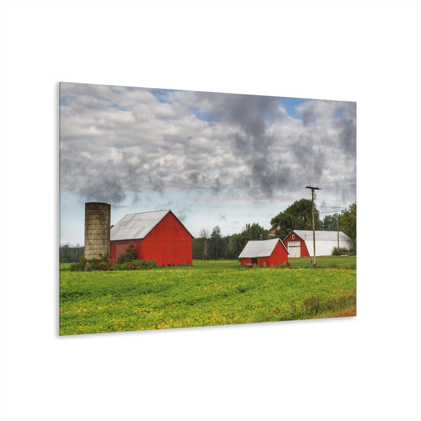 U R There Photography Kingston Road Trio II Rustic Farmhouse Acrylic Wall Print