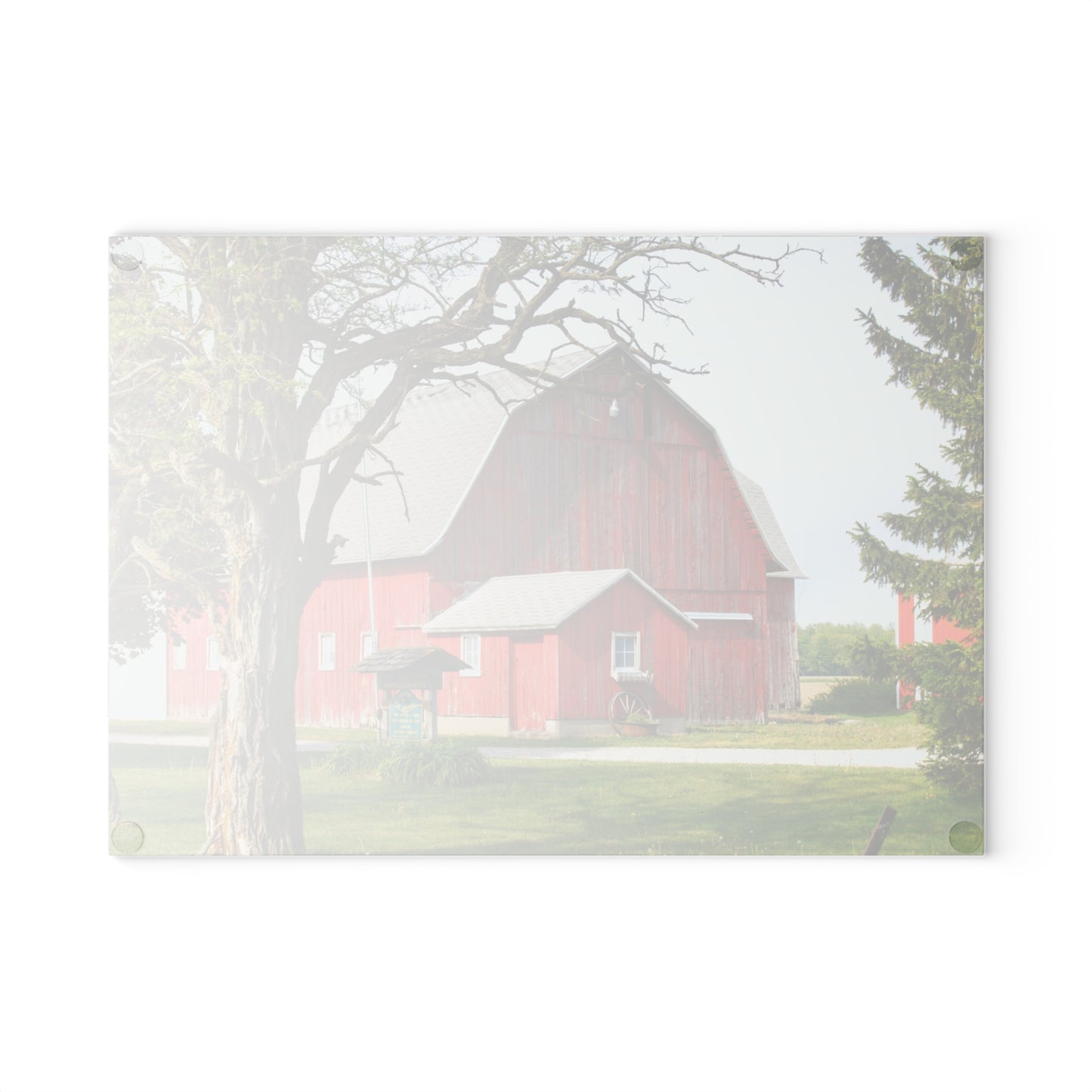 U R There Photography French Road Centennial Reds I Rustic Farmhouse Tempered-Glass Cutting Board
